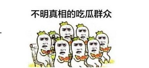 吃瓜群众游泳馆,吃瓜群众齐聚游泳馆畅享清凉时光