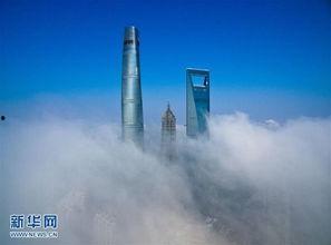 大雾瓜怎么吃