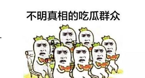 围观吵架吃瓜原版下载,一场网络热议背后的真相