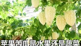 吃瓜塞苹果