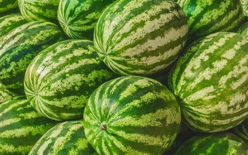 巅峰赛高端局吃瓜,揭秘吃瓜背后的精彩对决