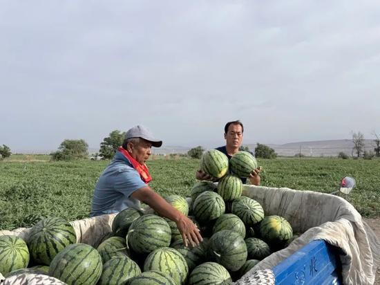 辛屯站吃瓜,吃瓜群众的欢乐盛宴