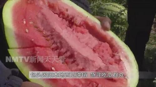 吃瓜群众在哪找,揭秘网络热议背后的秘密