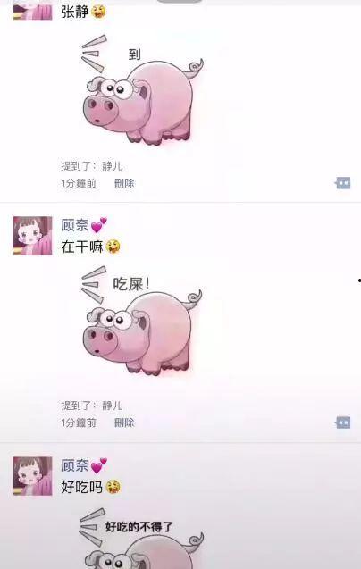 抖音吃瓜猪猪特效,吃瓜猪猪特效，趣味横生带你领略欢乐时光