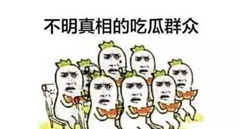 我吃瓜日常,揭秘娱乐圈那些事儿
