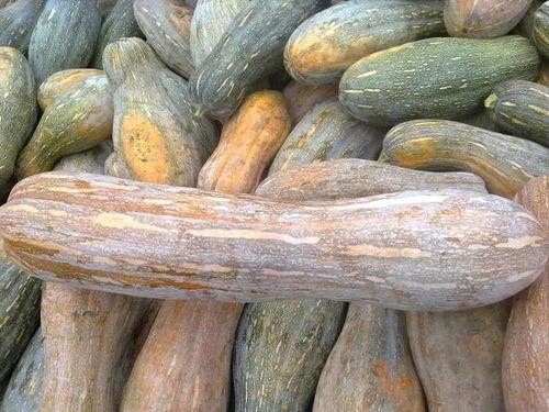 瓜的外皮可以吃吗,哪些瓜的外皮可以直接食用？