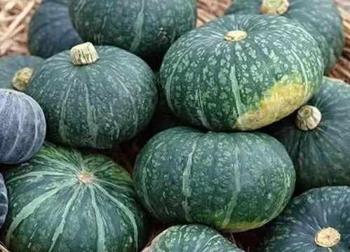 梦见跟死人要瓜吃,与亡灵共品瓜果之谜