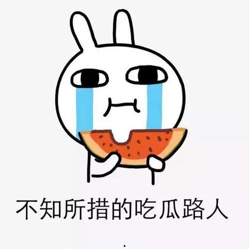 吃瓜合约,网络热议背后的真相与启示