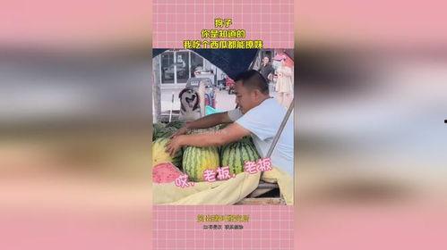 吃瓜撩撩子,揭秘娱乐圈幕后故事