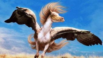 梦到马进入家中吃瓜,马儿家中吃瓜的奇幻之旅