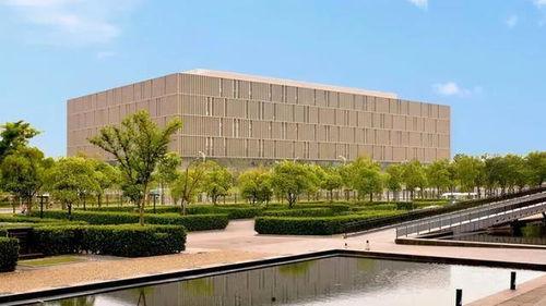 浦东图书馆吃瓜,瓜香四溢的文化盛宴