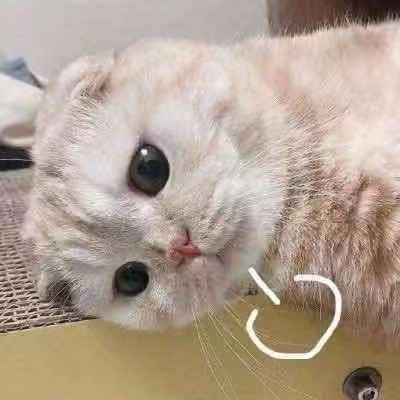 我要看带你吃瓜奇,带你领略“我要看带你吃瓜”的独特魅力