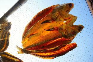 翻身吃瓜,揭秘娱乐圈的逆袭与甜蜜瞬间