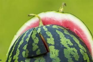 梦见吃瓜吐籽,揭秘吃瓜吐籽的神秘寓意