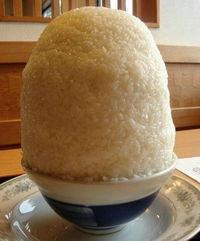 碗碗吃瓜事件,揭秘网络舆论的狂欢与反思