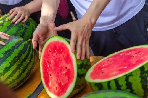 双峰文正学校吃瓜,揭秘校园里的“瓜田”风云