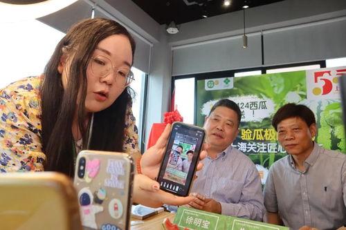 小6吃瓜直播,揭秘娱乐圈幕后故事