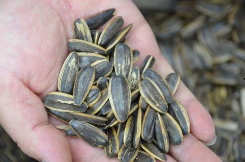 吃瓜买瓜子找钱,趣味找零记