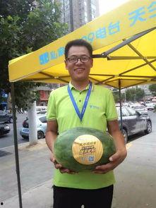 徐媛郑州吃瓜,徐媛的“吃瓜”探秘记