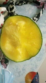 梦见吃黄瓤瓜,黄瓤瓜的神秘寓意解析