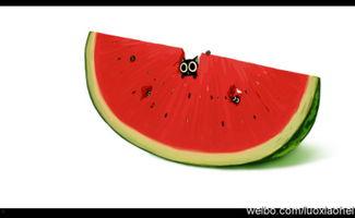 樱桃喵夏日吃瓜,樱桃喵夏日畅享清凉瓜果时光
