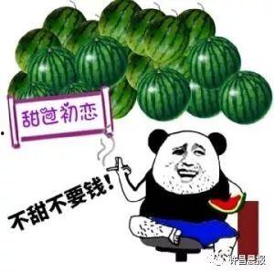 吃瓜应该去哪,探寻最佳观瓜地点