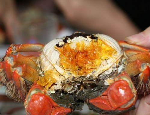 方瓜和螃蟹的能一起吃吗,能否共食之谜解析