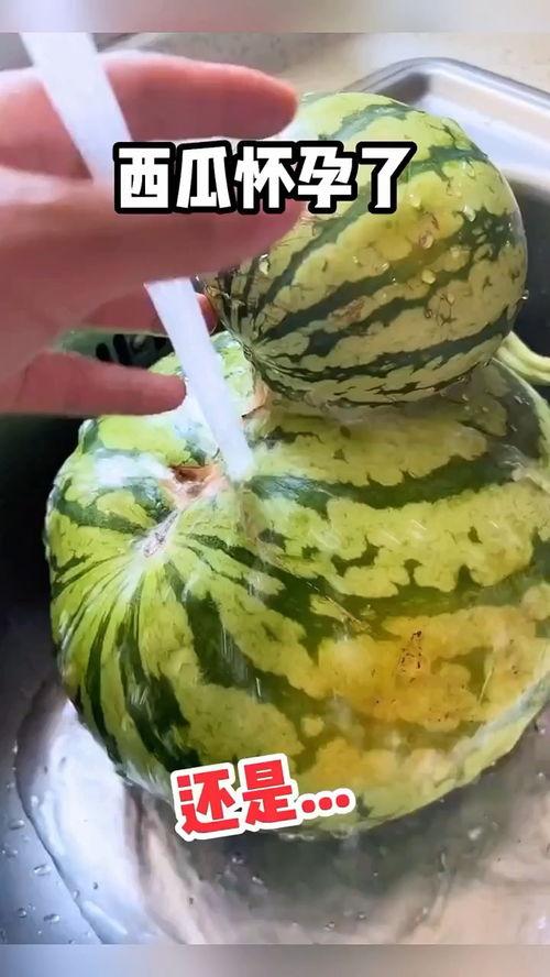 吃鲜瓜搞笑视频,吃鲜瓜搞笑视频，笑料横生，欢乐无限