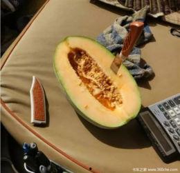 吃瓜摄影,捕捉生活中的甜蜜瞬间