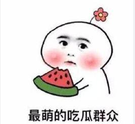 倔强吃瓜后续,揭秘娱乐圈背后的真相与风云变幻