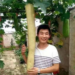 小伙看到女友吃瓜,男友目睹女友吃瓜的温馨一幕