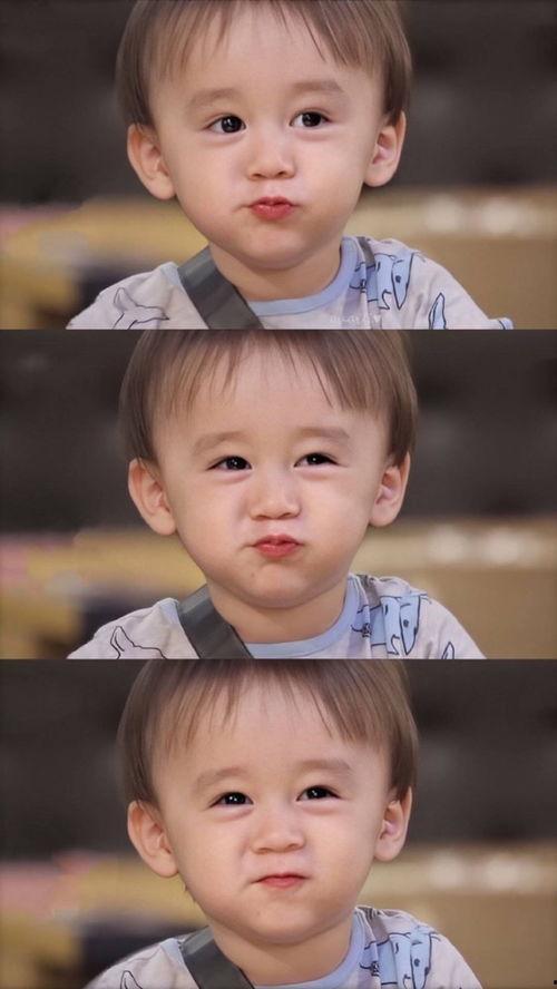 威廉和本特利吃瓜,瓜田笑谈，友谊长存