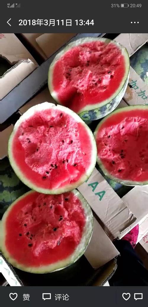 暖小雅吃瓜,揭秘娱乐圈那些不为人知的幕后故事