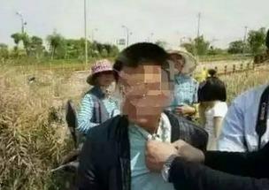 盐城吃瓜拔瓜事件始末,一场网络热议的真相追踪