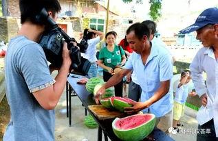 哈尔滨黑科技吃瓜群众