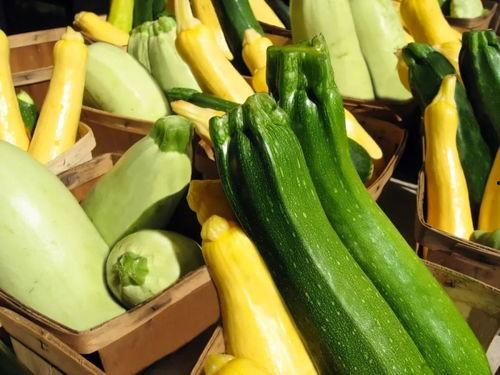 带你吃瓜家常菜,解锁地道美味生活