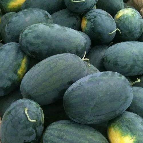 咸阳渭城区吃瓜,夏日炎炎，吃瓜解暑乐翻天